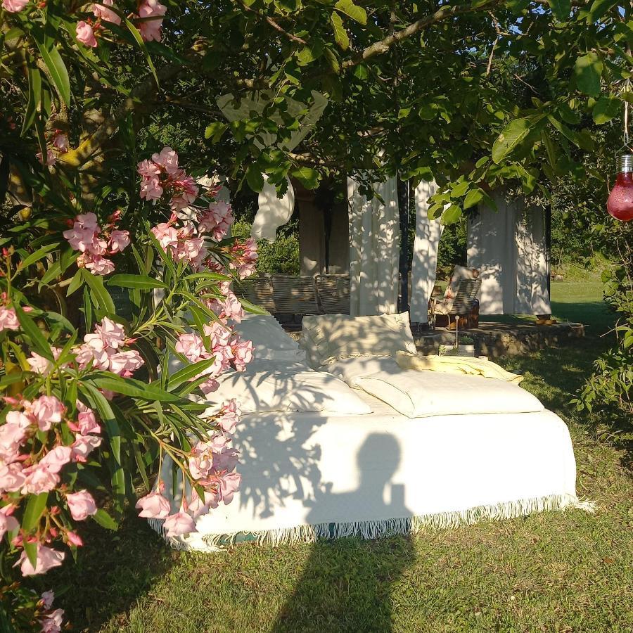 Le Bumbarelle Bed and Breakfast Tavoleto Eksteriør billede