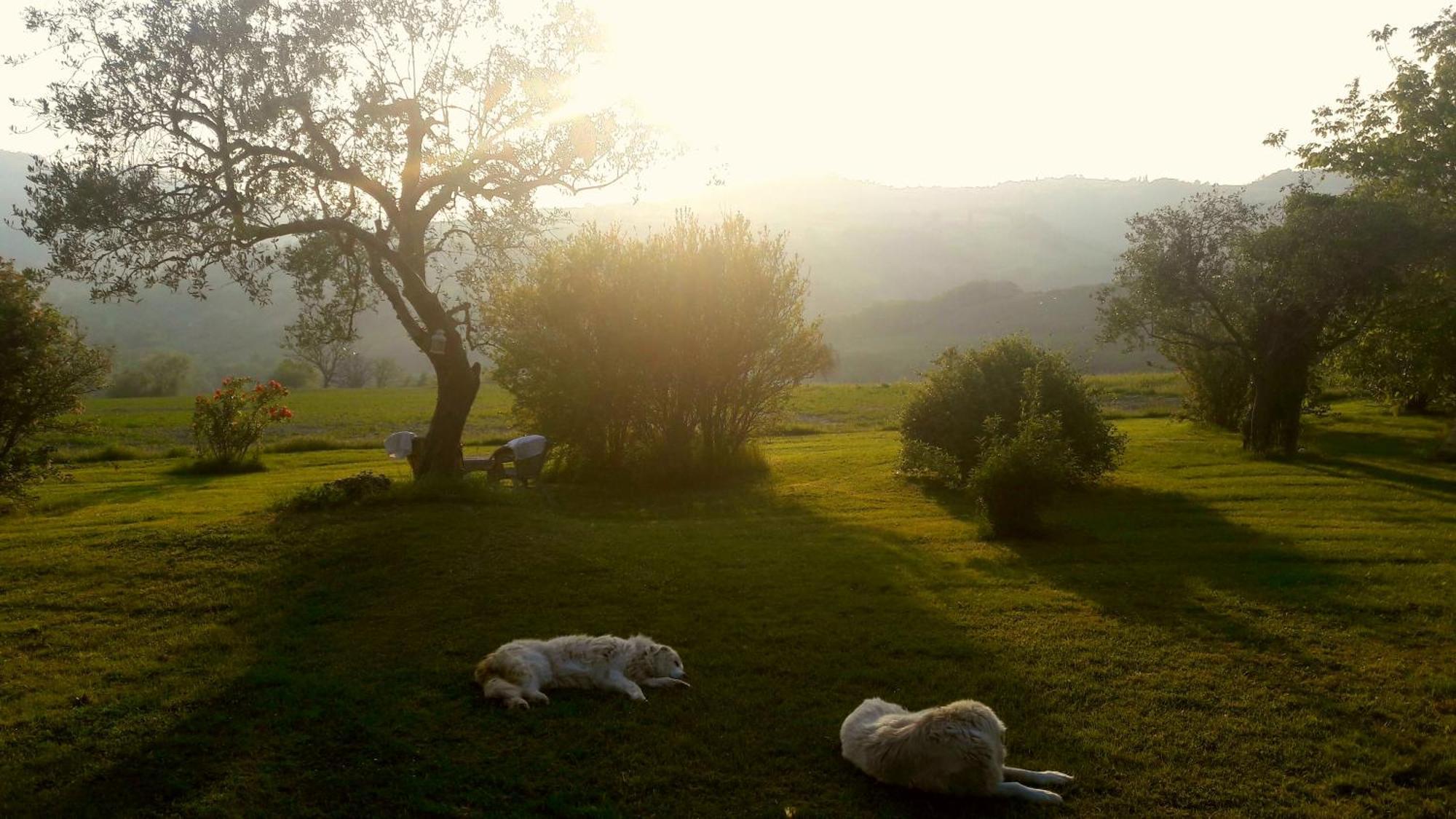 Le Bumbarelle Bed and Breakfast Tavoleto Eksteriør billede