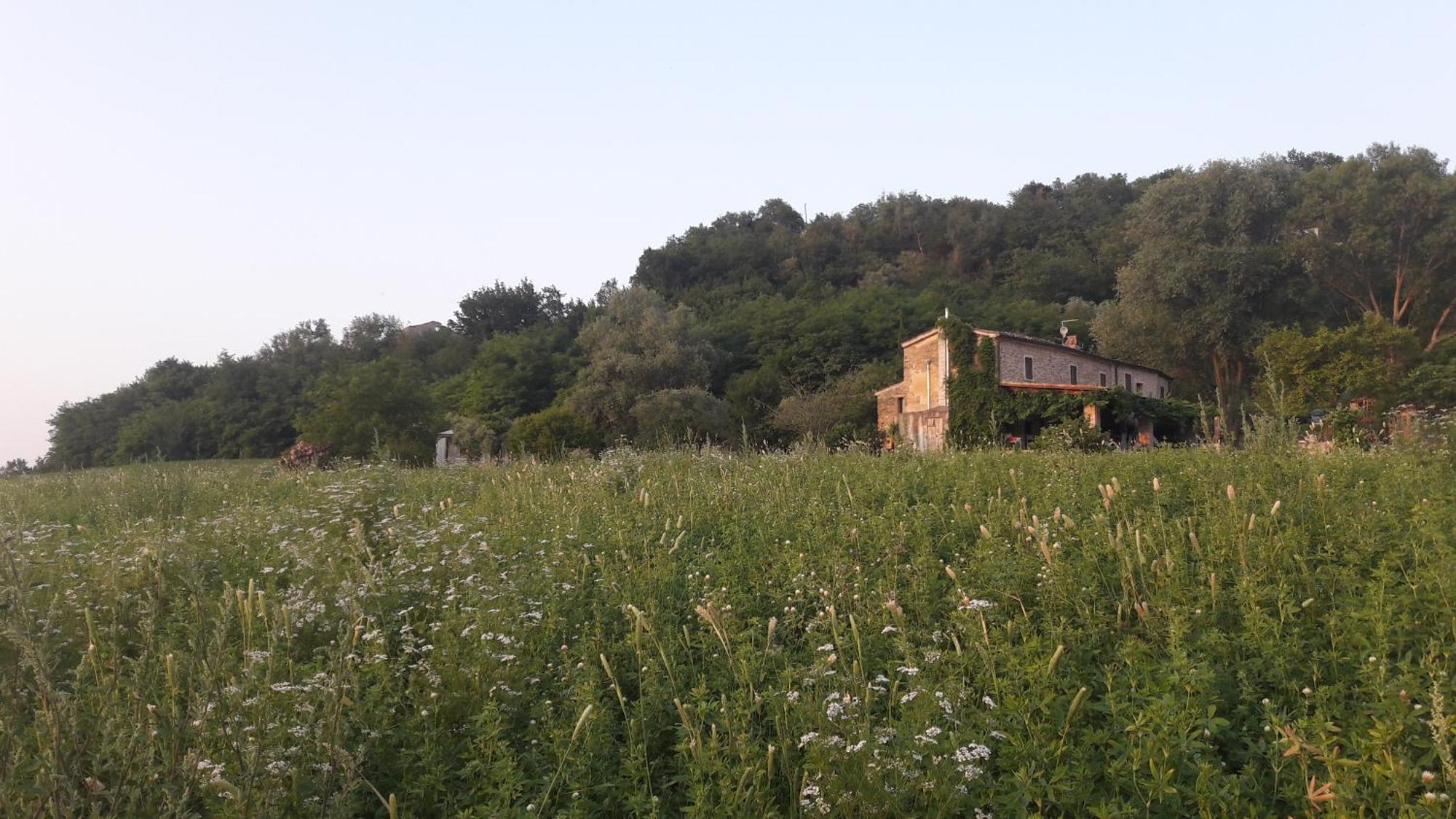 Le Bumbarelle Bed and Breakfast Tavoleto Eksteriør billede