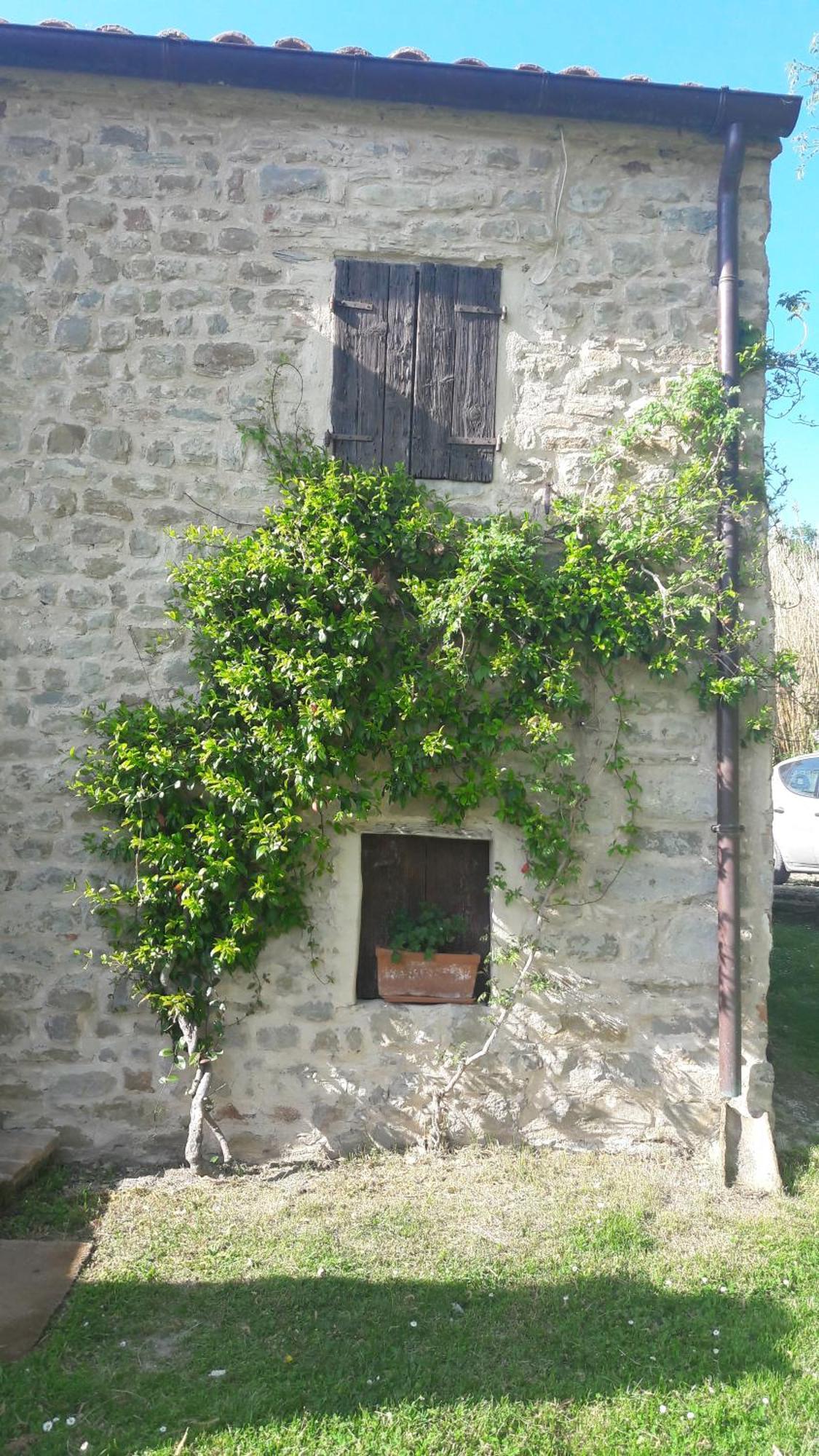 Le Bumbarelle Bed and Breakfast Tavoleto Eksteriør billede