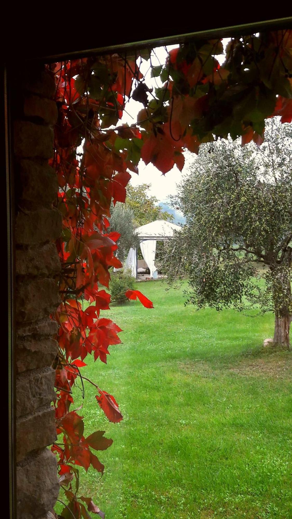 Le Bumbarelle Bed and Breakfast Tavoleto Eksteriør billede
