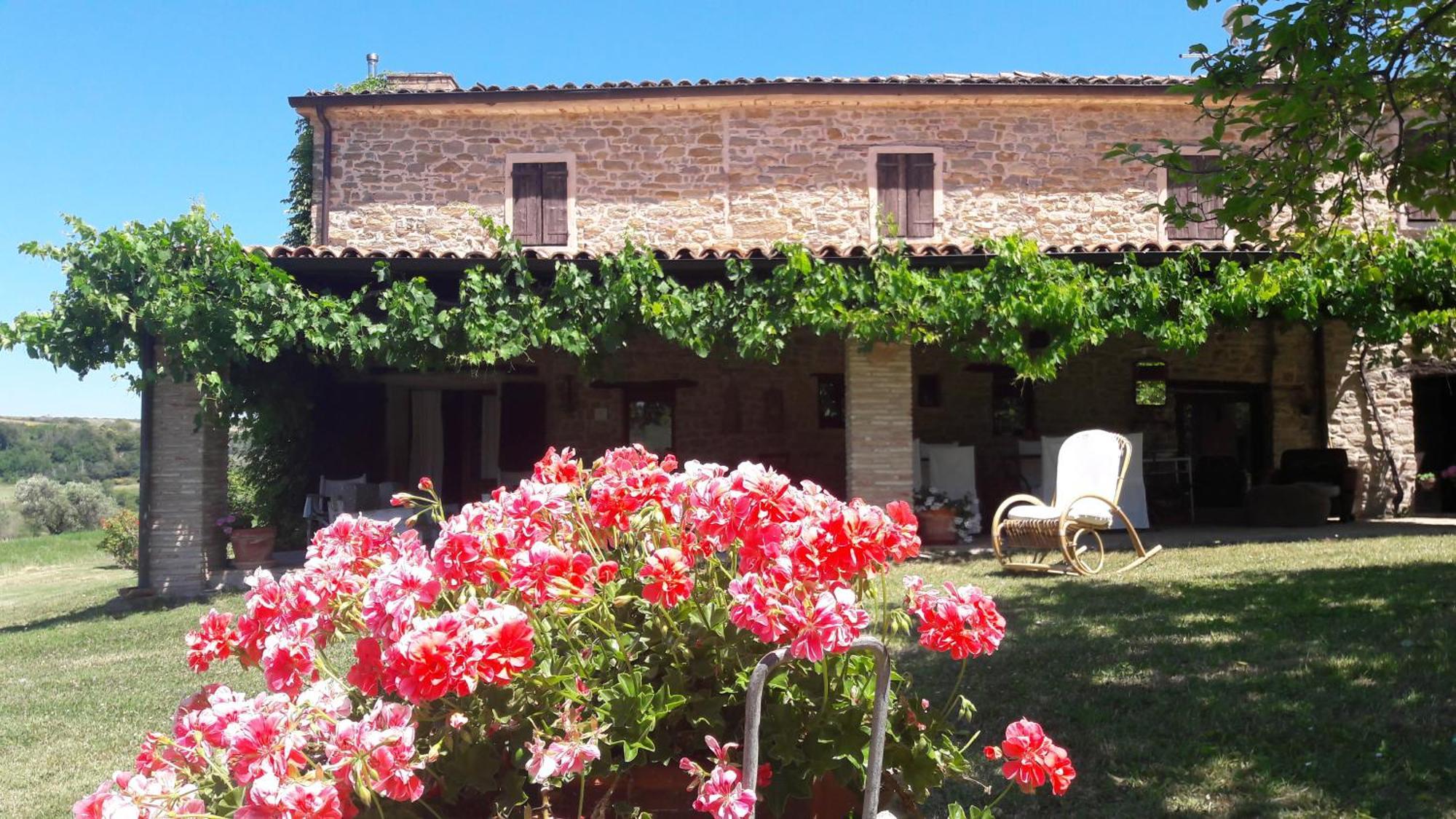 Le Bumbarelle Bed and Breakfast Tavoleto Eksteriør billede