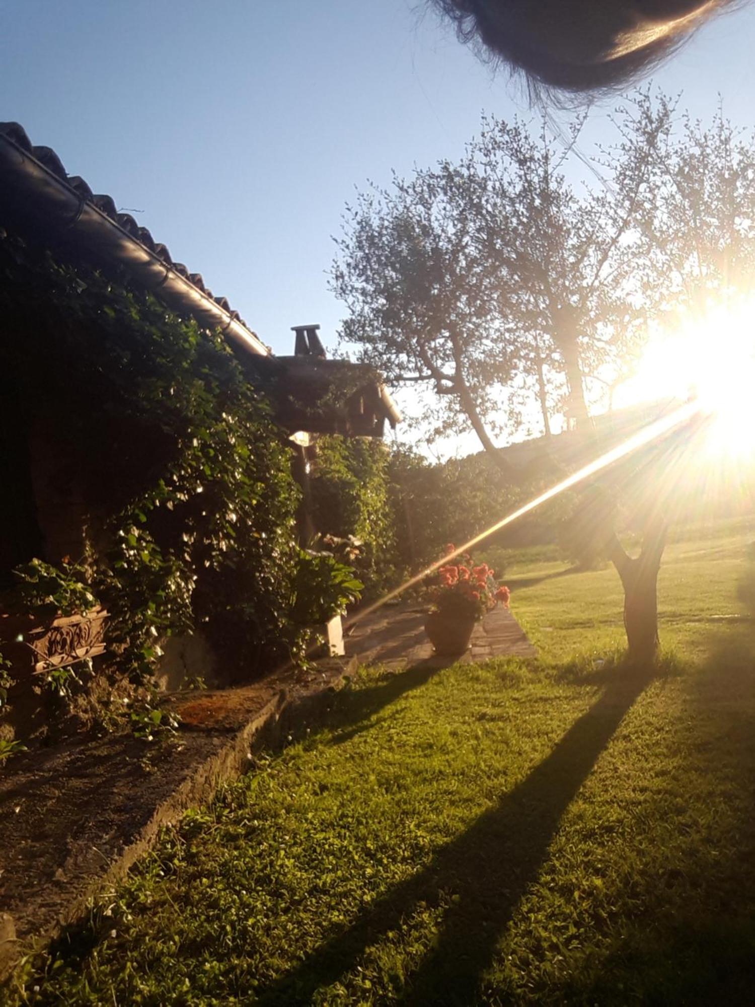 Le Bumbarelle Bed and Breakfast Tavoleto Eksteriør billede