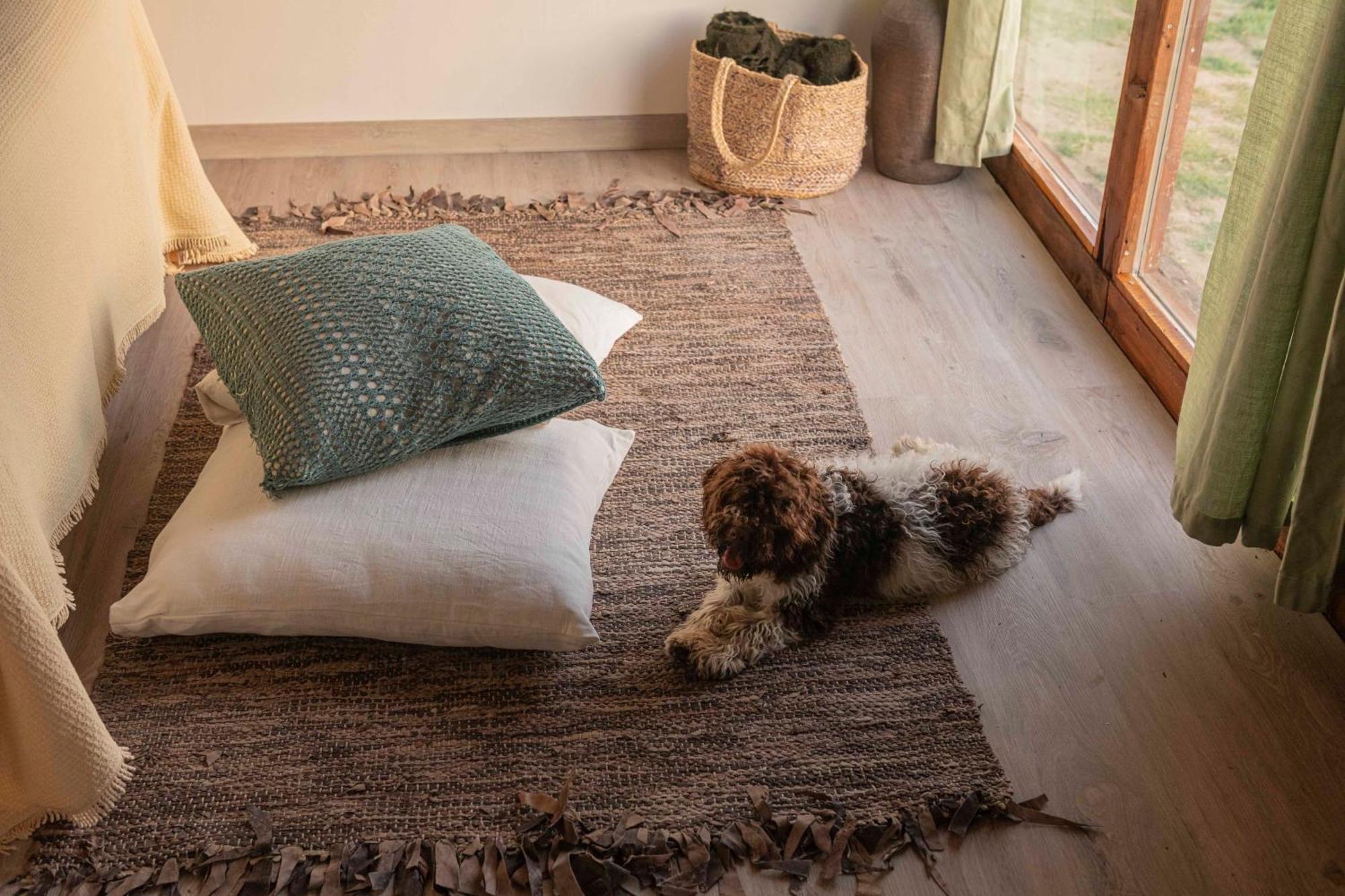 Le Bumbarelle Bed and Breakfast Tavoleto Eksteriør billede
