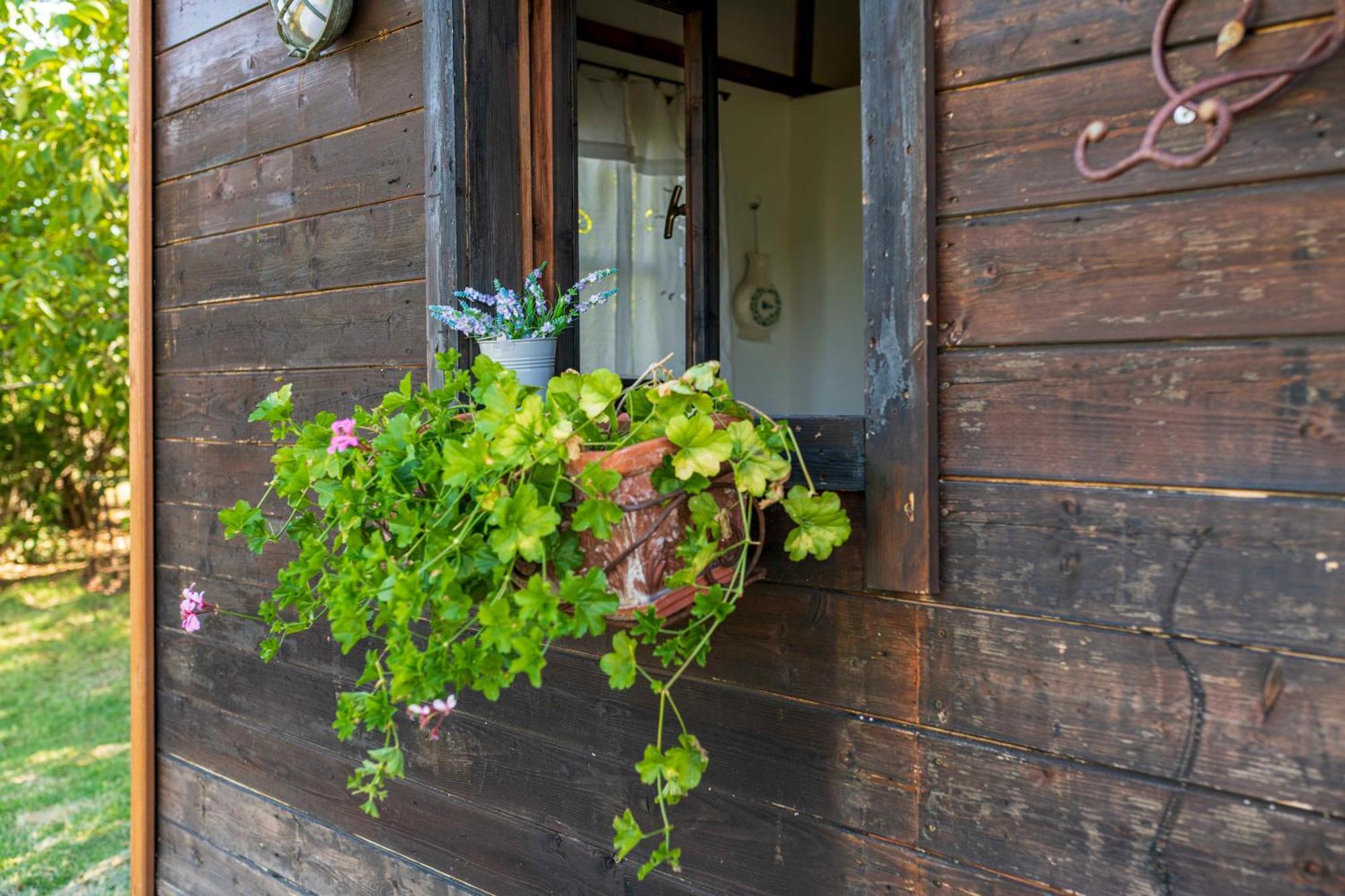 Le Bumbarelle Bed and Breakfast Tavoleto Eksteriør billede