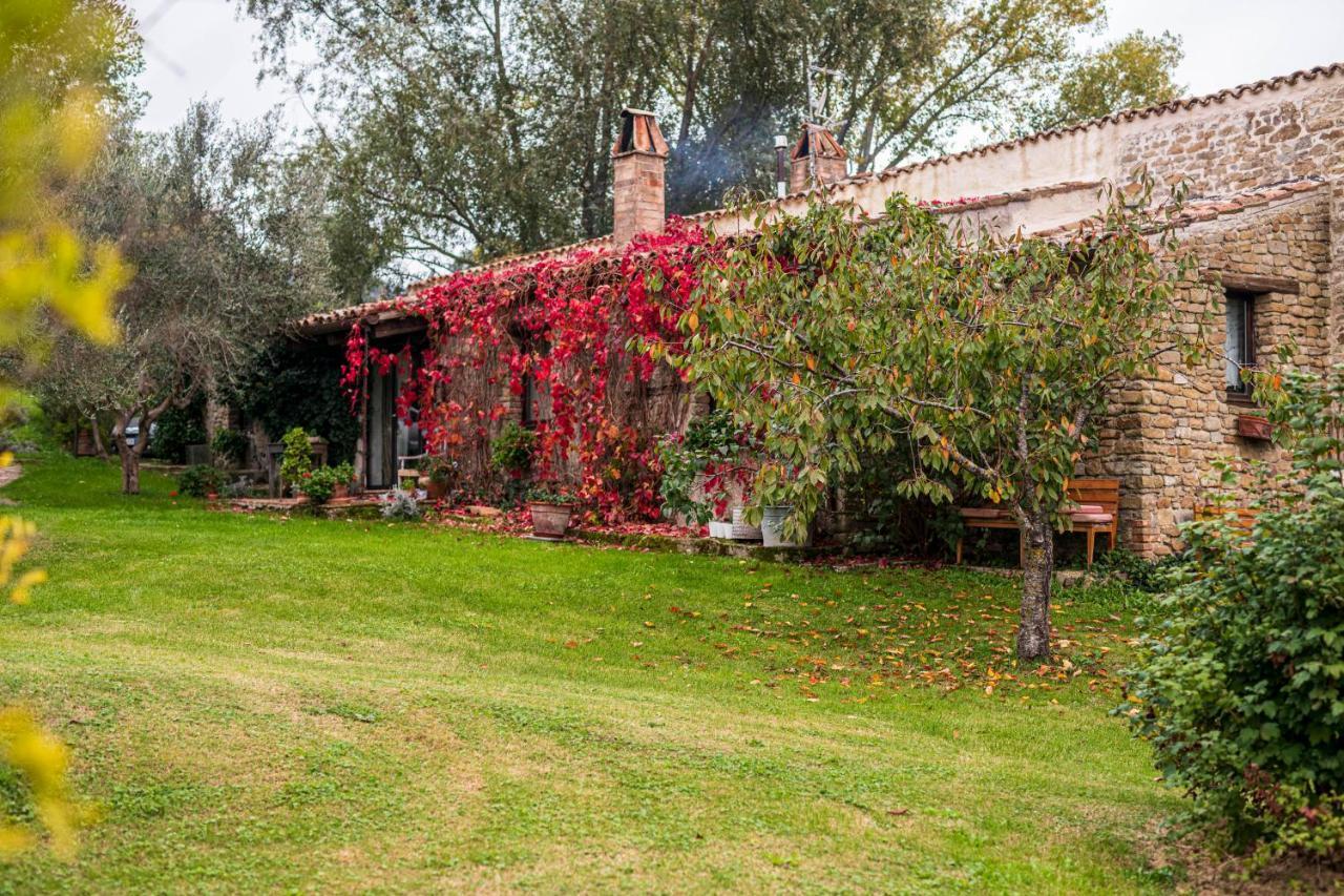Le Bumbarelle Bed and Breakfast Tavoleto Eksteriør billede
